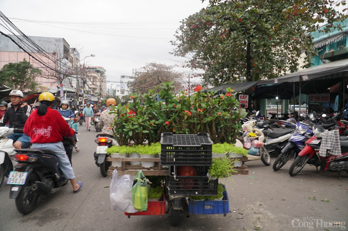Ngày cuối cùng của năm Giáp Thìn, ngay từ sáng sớm chợ Hòa Khánh (quận Liên Chiểu, TP. Đà Nẵng) đã đông đúc, nhộn nhịp người bán mua
