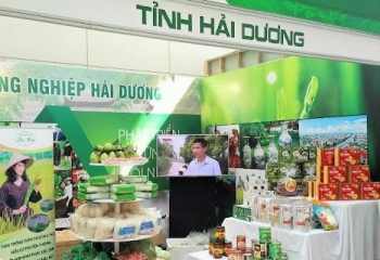 Hải Dương: Sản phẩm OCOP đặc sắc đắt khách ngày Tết