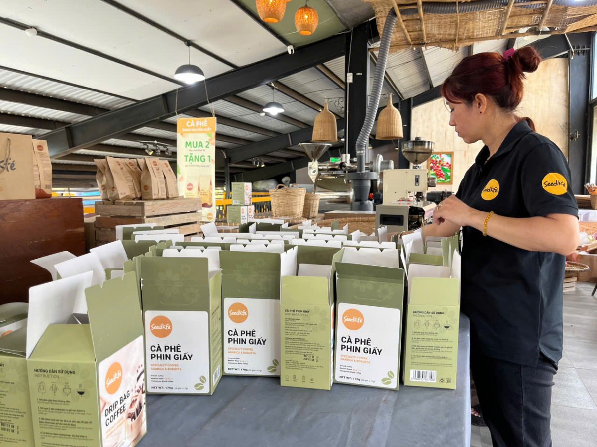 dự báo giá cà phê ngày mai dự báo giá cà phê ngày mai