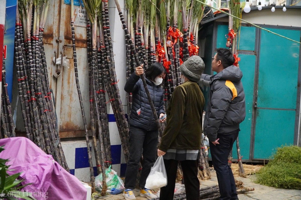 Chị Hoàng Cẩm Anh - một người bán mía trên phố Lò Đúc (Hà Nội) cho biết đã chuẩn bị khoảng 100 cây mía để bán dịp Tết năm nay. Chị Hoàng Cẩm Anh - một người bán mía trên phố Lò Đúc (Hà Nội) cho biết đã chuẩn bị khoảng 100 cây mía để bán dịp Tết năm nay.
