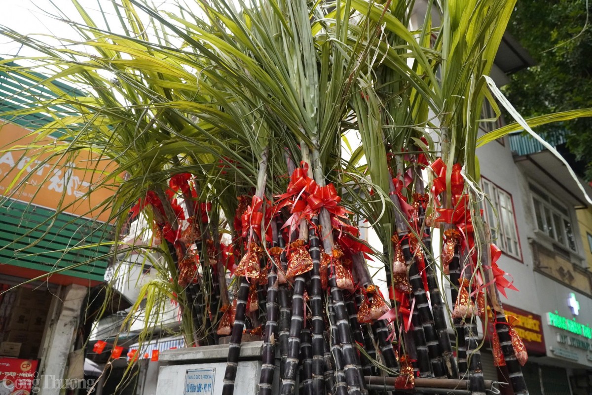 Trên mía lộc, tiểu thương thường gắn thêm nơ đỏ hoặc túi muối. Những túi muối kèm theo mía lộc. Đây là hai món hàng được nhiều người chọn mua sau lễ giao thừa nhằm cầu may. Trên mía lộc, tiểu thương thường gắn thêm nơ đỏ hoặc túi muối. Những túi muối kèm theo mía lộc. Đây là hai món hàng được nhiều người chọn mua sau lễ giao thừa nhằm cầu may.