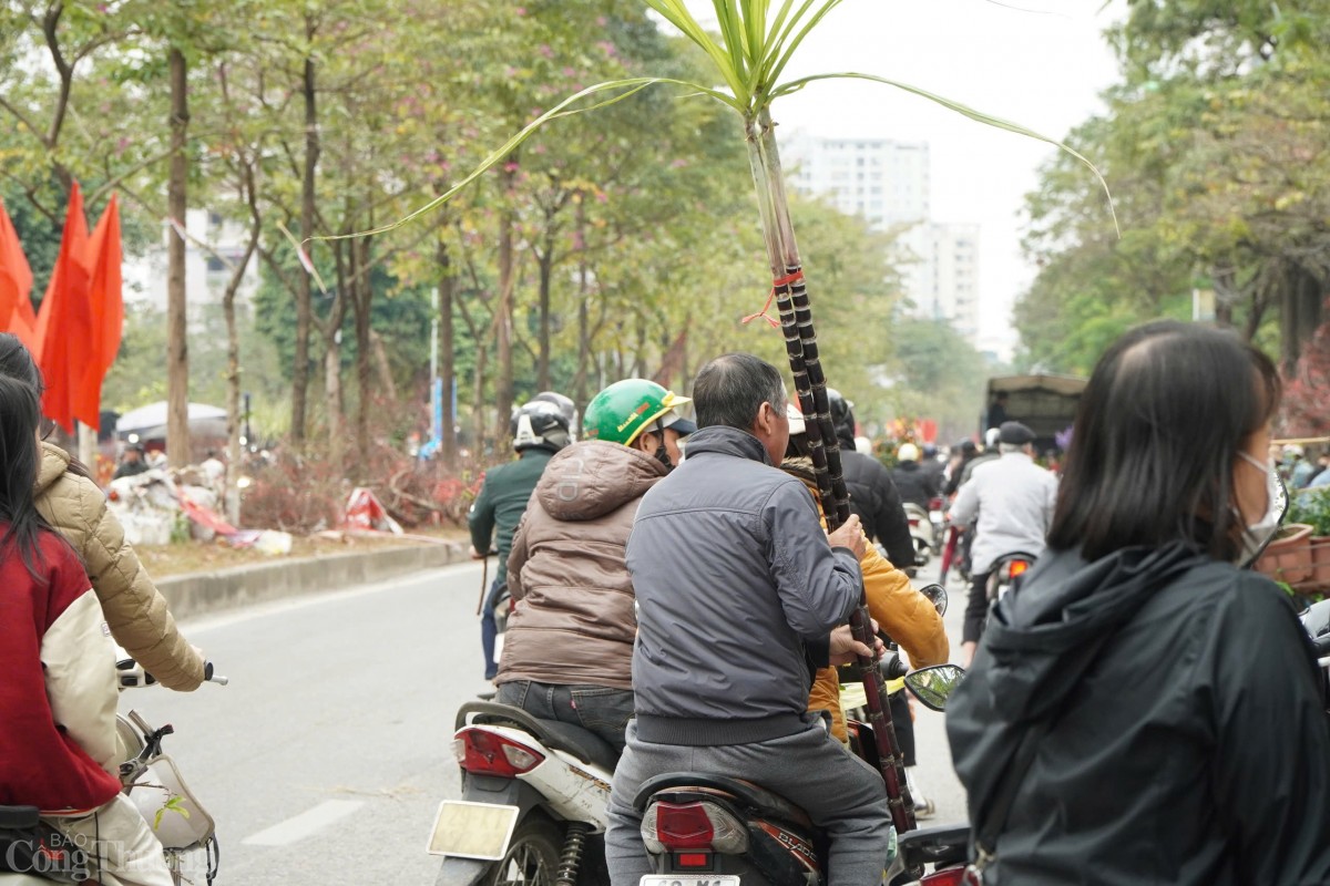 Người Việt ta có phong tục mua 2 cây mía còn nguyên phần rễ và lá về dựng hai bên bàn thờ ngày đầu năm. Người Việt ta có phong tục mua 2 cây mía còn nguyên phần rễ và lá về dựng hai bên bàn thờ ngày đầu năm.