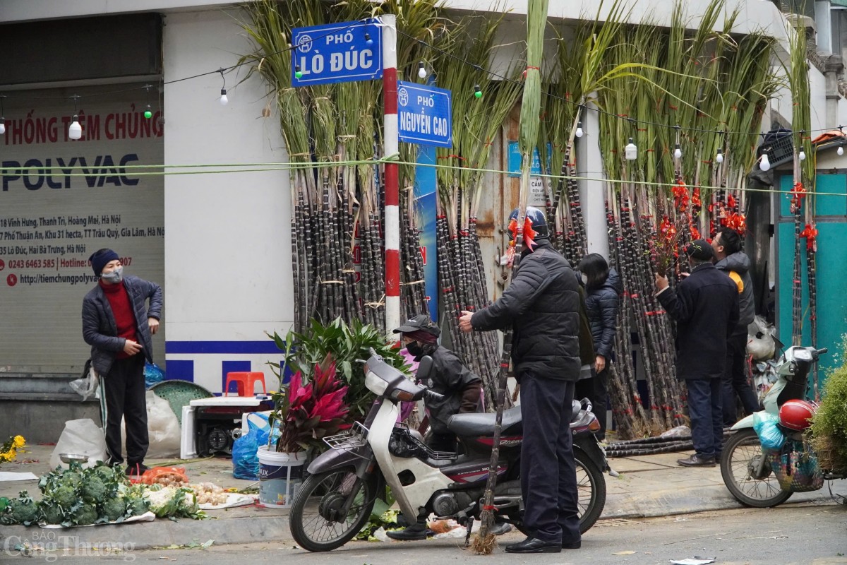 Theo các tiểu thương, giá mía lộc năm nay đắt gấp đôi những năm trước. Mía lộc đang được bán với giá 120.000 đồng/cặp, giá có thể tăng gấp đôi sau đêm giao thừa. Theo các tiểu thương, giá mía lộc năm nay đắt gấp đôi những năm trước. Mía lộc đang được bán với giá 120.000 đồng/cặp, giá có thể tăng gấp đôi sau đêm giao thừa.