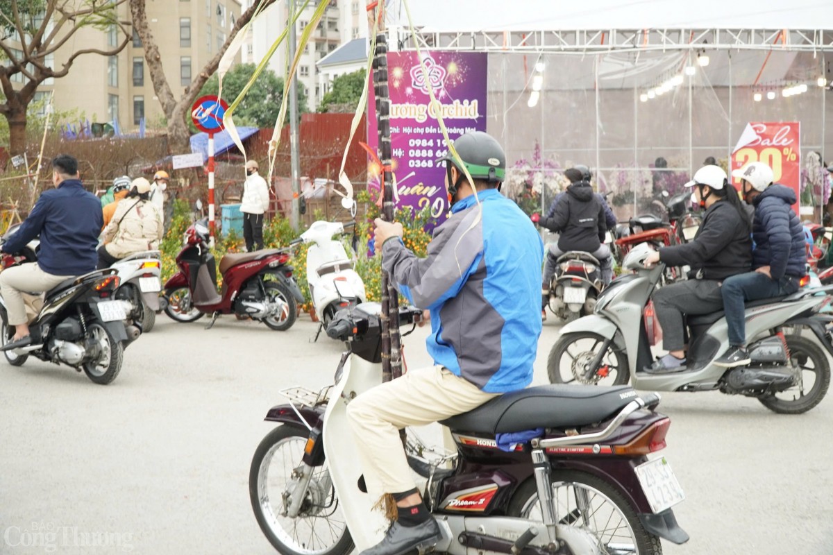 Cũng có nhiều người dân mua mía lộc sớm từ trước đêm giao thừa. Cũng có nhiều người dân mua mía lộc sớm từ trước đêm giao thừa.