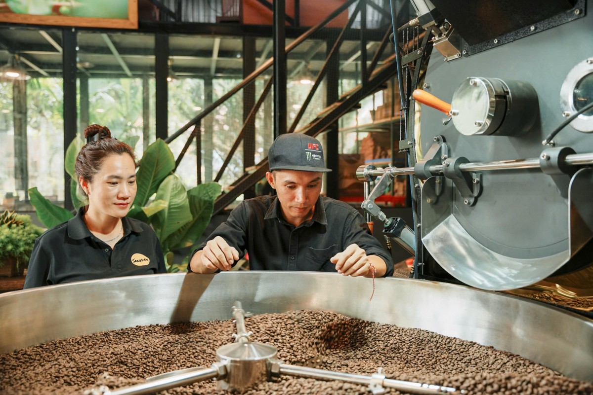 Giá cà phê hôm nay 29/1/2025: Giá cà phê hôm nay 29/1/2025: