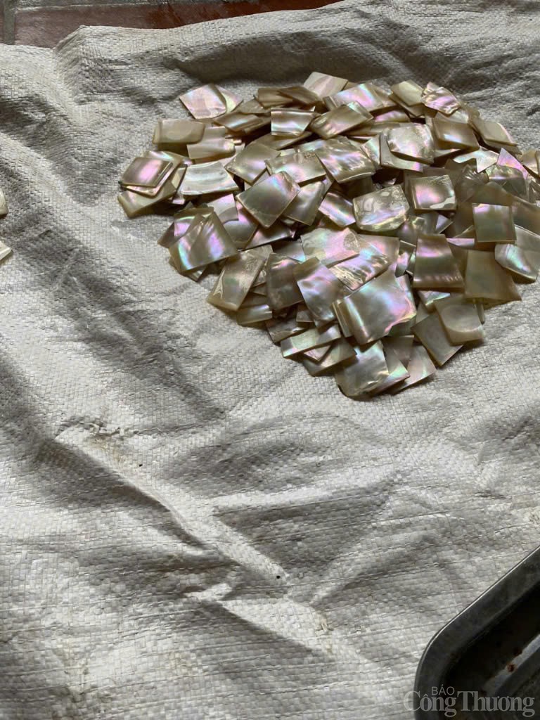 Vỏ trai được tinh chế trước khi đem vào khảm gỗ 