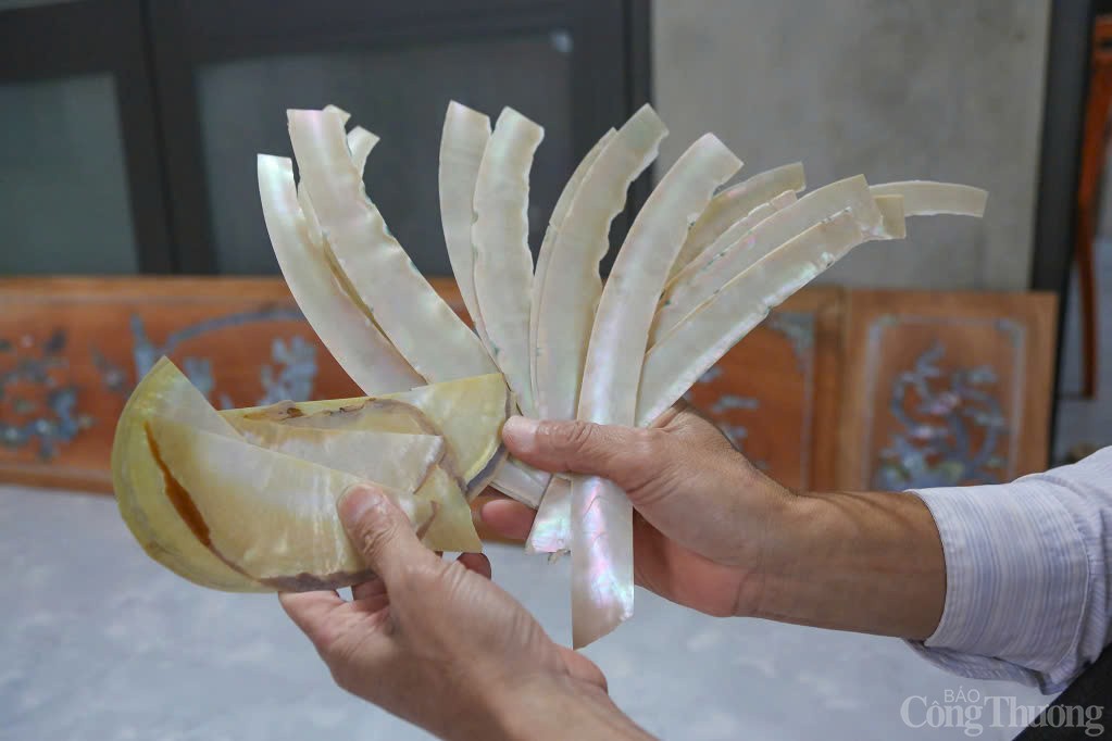 Vỏ trai được mài và sơ chế để chuẩn bị công đoạn khảm