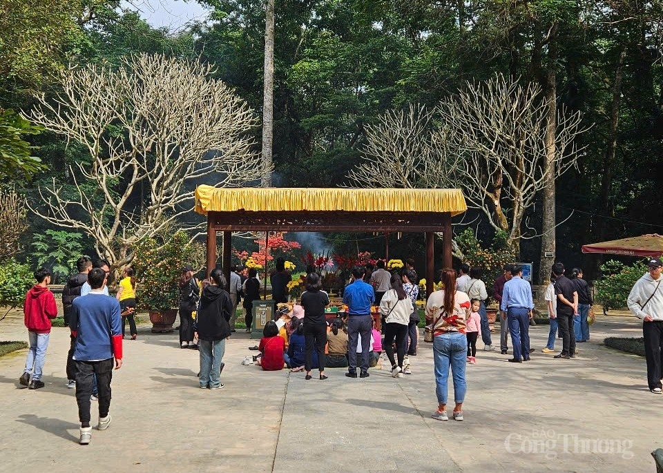 Huyền bí cây ổi gần 100 năm biết ‘cười’ ở Lam Kinh