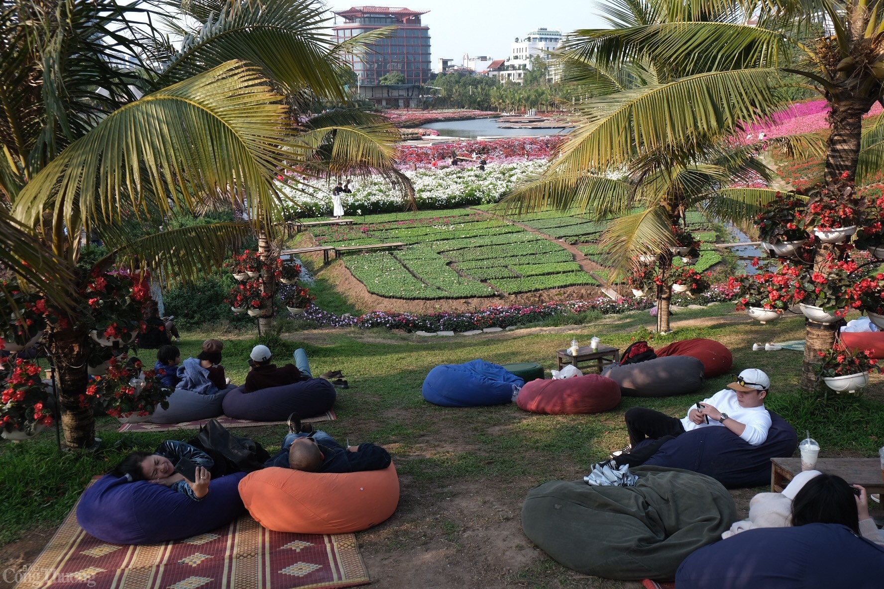 Du khách được bố trí ghế lười, bàn uống nước để ngắm toàn cảnh thung lũng hoa. Ảnh: Lê An