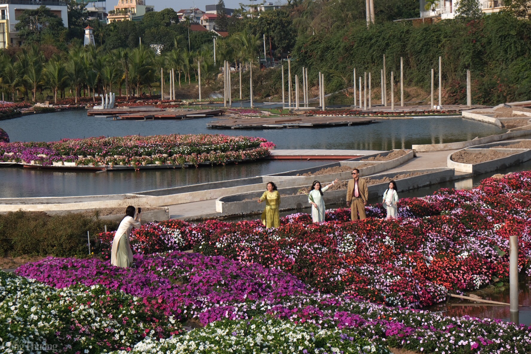 Thung lũng hoa Hồ Tây được ví như Đà Lạt thu nhỏ bởi vừa có không gian cảnh hồ cùng với hàng trăm loài hoa đua sắc xuân chào năm mới. Ảnh: Lê An