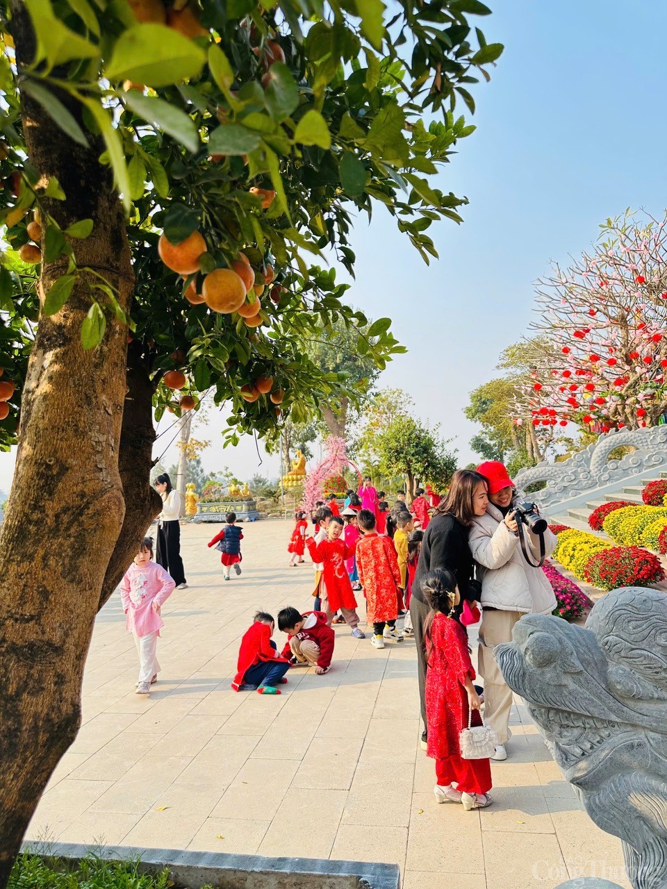 Vĩnh Phúc: Chùa Bầu – điểm đến tâm linh hút khách Vĩnh Phúc: Chùa Bầu – điểm đến tâm linh hút khách