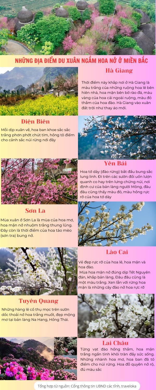 Những địa điểm du xuân ngắm hoa nở ở miền Bắc