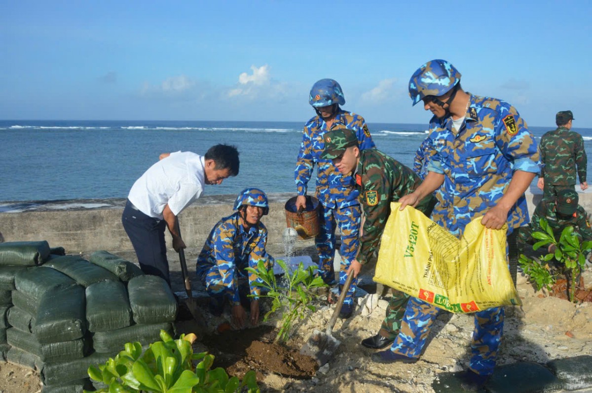 Các đảo trên Trường Sa hưởng ứng Tết trồng cây