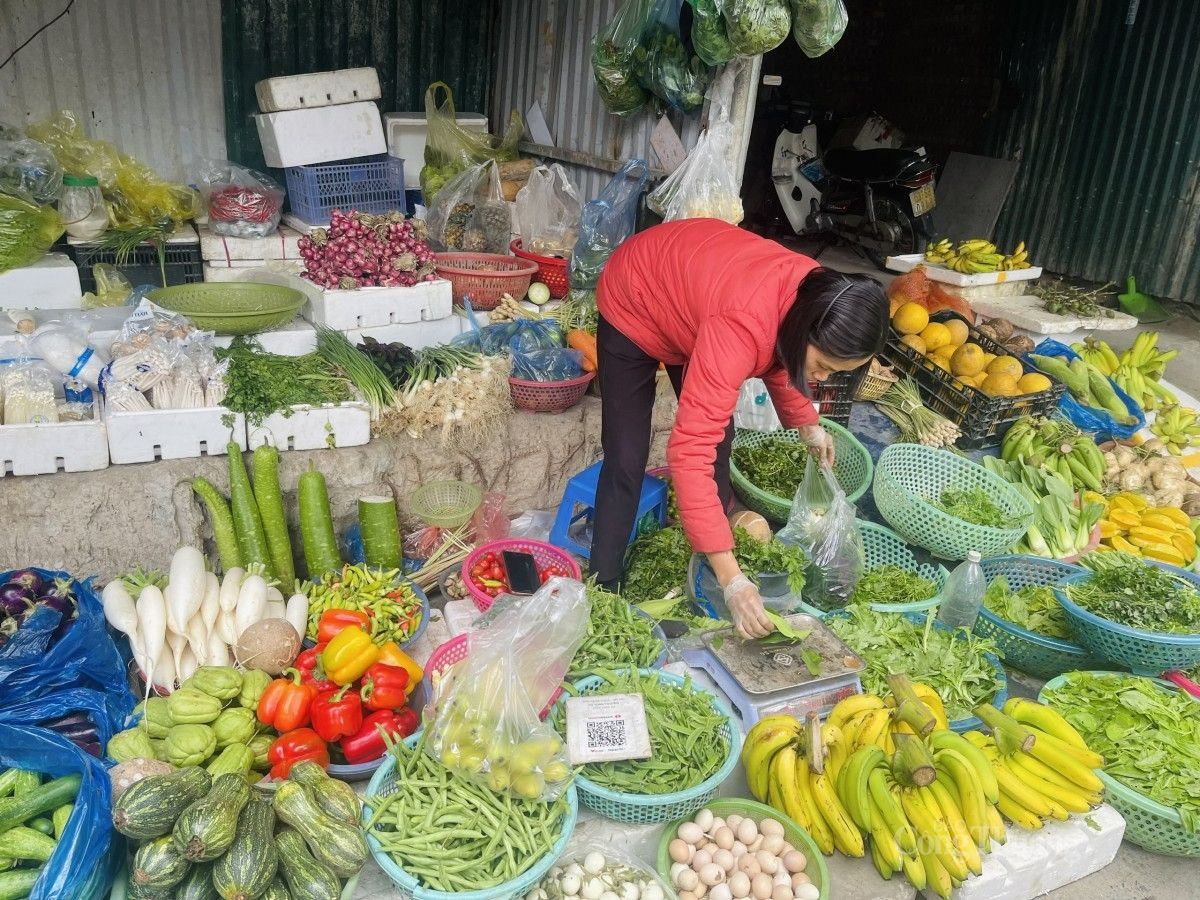 Thời tiết Tết năm nay thuận lợi nên các loại rau xanh đầy đủ cung cấp cho người tiêu dùng nên giá không thay đổi so với ngày thường. Ảnh: Nguyễn Thanh Thời tiết Tết năm nay thuận lợi nên các loại rau xanh đầy đủ cung cấp cho người tiêu dùng nên giá không thay đổi so với ngày thường. Ảnh: Nguyễn Thanh