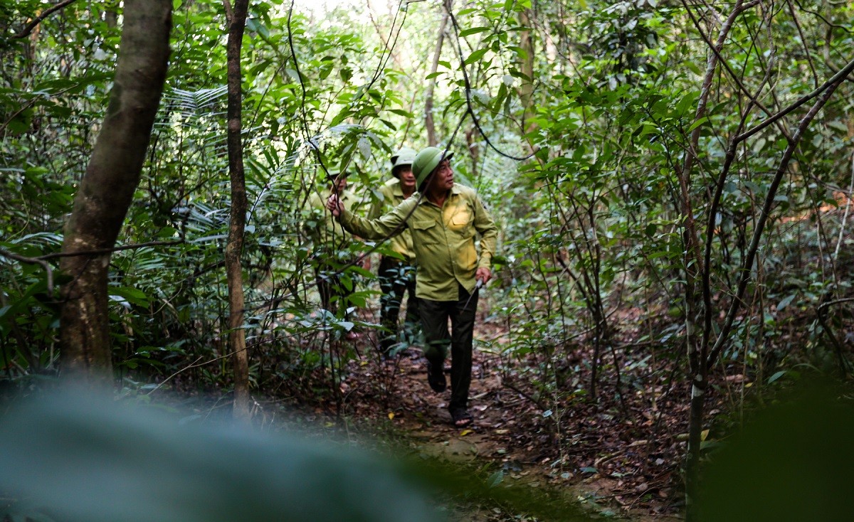 Cán bộ Trạm quản lý bảo vệ rừng Kẻ Gỗ tuần tra phá bẫy tại các lối mòn trong rừng. (Ảnh: Thành Đô) Cán bộ Trạm quản lý bảo vệ rừng Kẻ Gỗ tuần tra phá bẫy tại các lối mòn trong rừng. (Ảnh: Thành Đô)