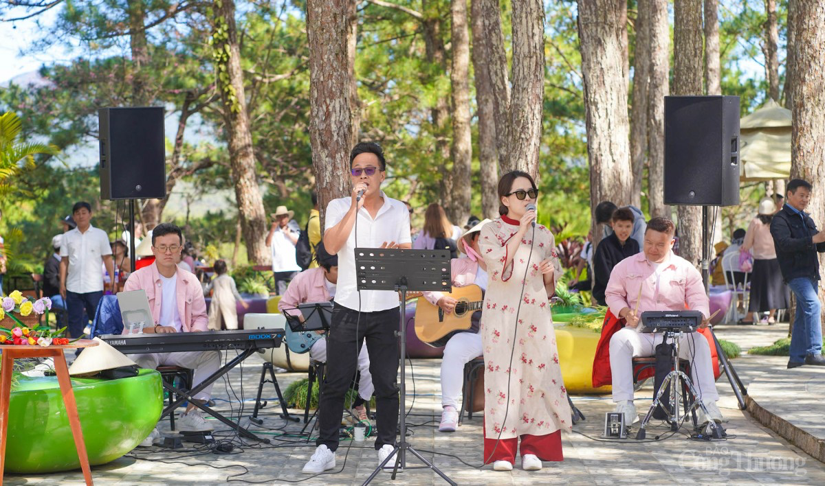 Du lịch Lâm Đồng tăng trưởng vượt bậc dịp Tết 2025