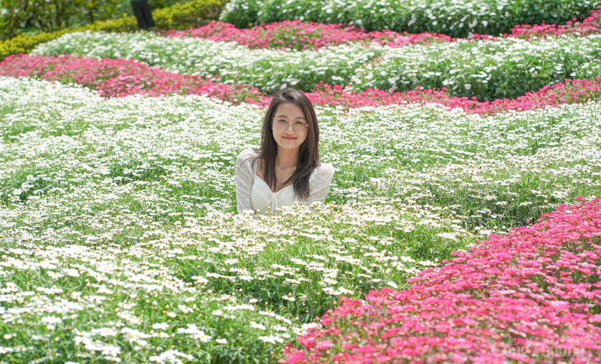 Du lịch Lâm Đồng tăng trưởng vượt bậc dịp Tết 2025