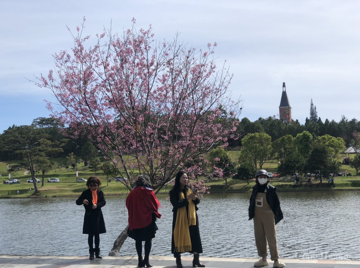 Du lịch Lâm Đồng tăng trưởng vượt bậc dịp Tết 2025