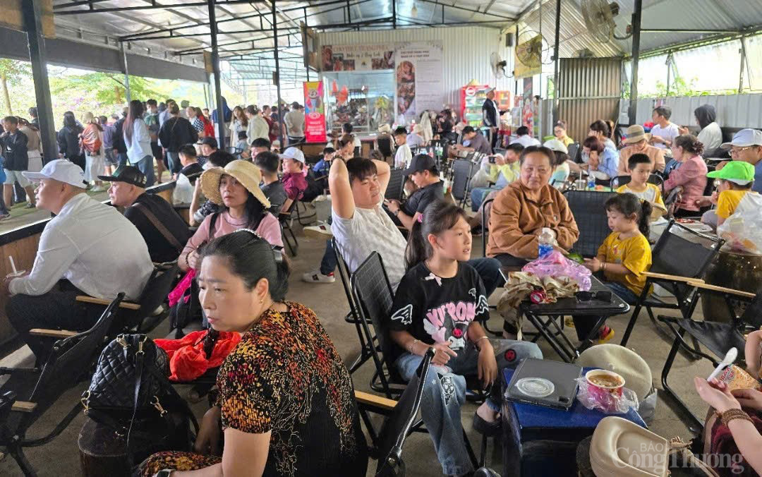 Du lịch Lâm Đồng tăng trưởng vượt bậc dịp Tết 2025