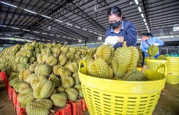 Nỗ lực xây dựng thương hiệu nông sản Việt tại Australia