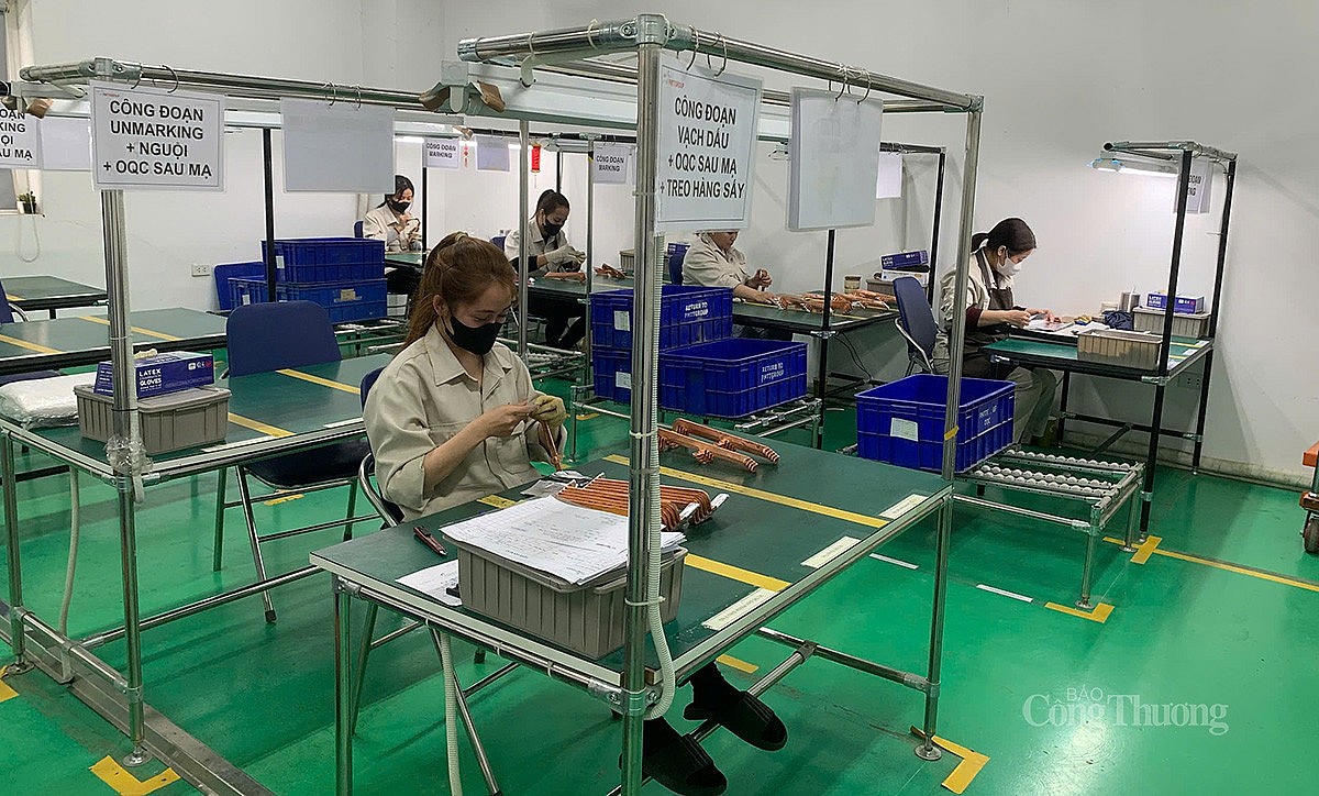 hoạt động sản xuất ngày đầu Xuân tại Công ty PMTT GROUP hoạt động sản xuất ngày đầu Xuân tại Công ty PMTT GROUP