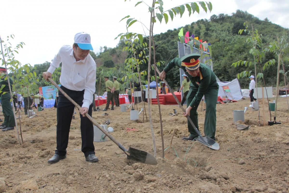 Khánh Hòa phát động Tết trồng cây nhớ ơn Bác Hồ