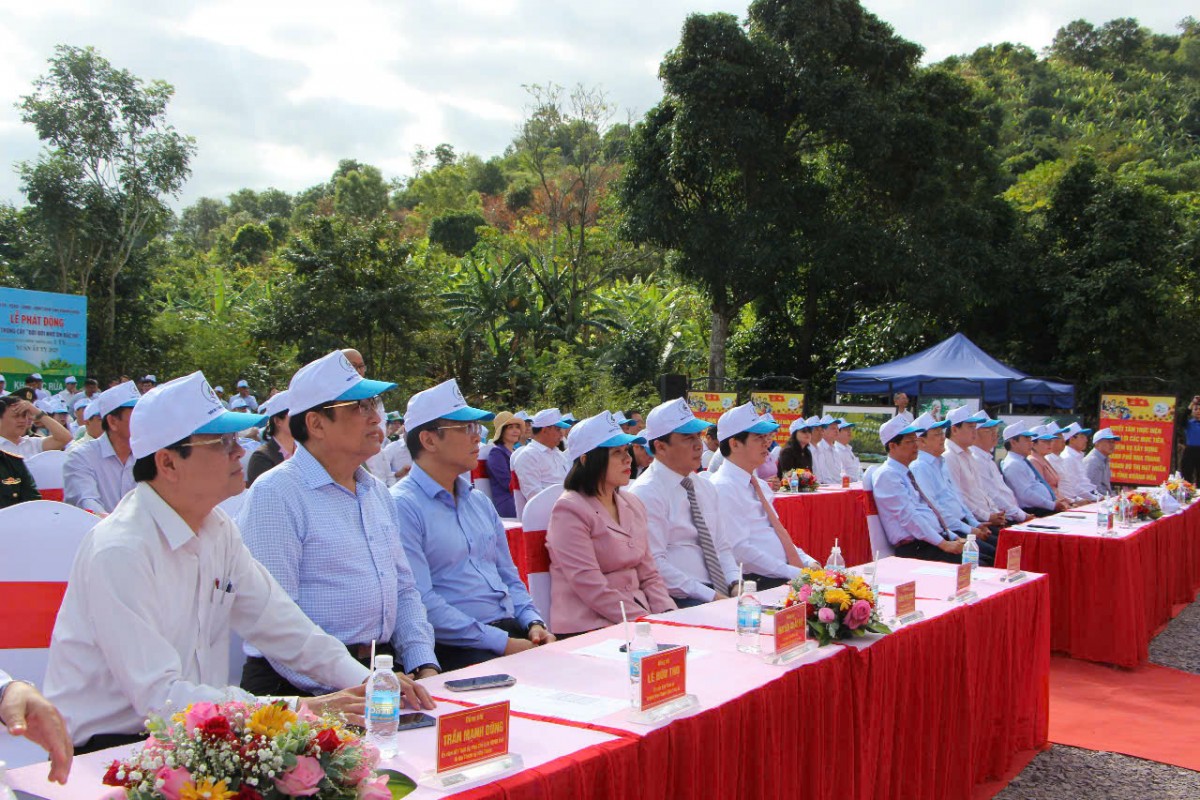 Khánh Hòa phát động Tết trồng cây nhớ ơn Bác Hồ Khánh Hòa phát động Tết trồng cây nhớ ơn Bác Hồ