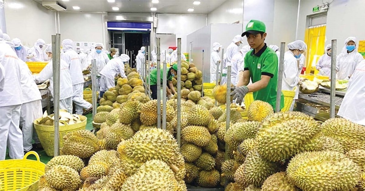 Việt Nam đứng thứ hai xuất khẩu rau quả sang Trung Quốc