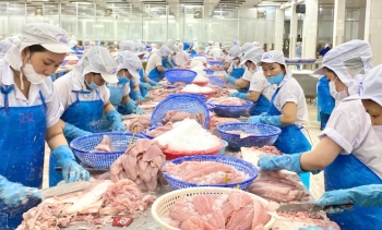 Nhập khẩu cá tra: Hoa Kỳ liệu có 'soán ngôi' Trung Quốc?