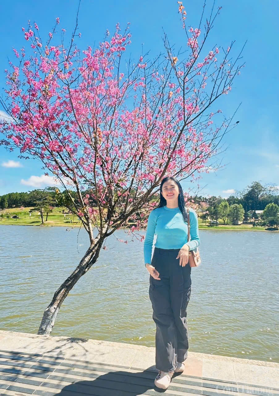 Sau Tết, mai anh đào vẫn nở rực trên phố Đà Lạt