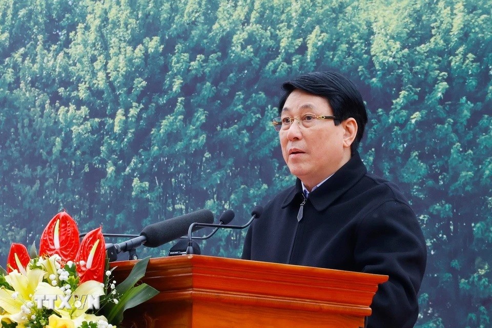 Chủ tịch nước dự “Tết trồng cây Đời đời nhớ ơn Bác Chủ tịch nước dự “Tết trồng cây Đời đời nhớ ơn Bác