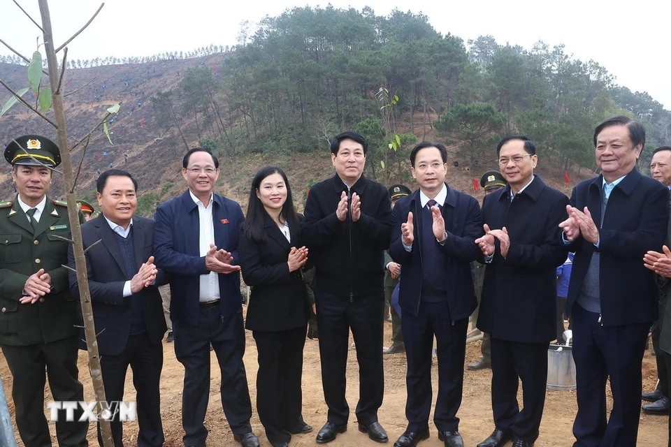 Chủ tịch nước dự “Tết trồng cây Đời đời nhớ ơn Bác Chủ tịch nước dự “Tết trồng cây Đời đời nhớ ơn Bác