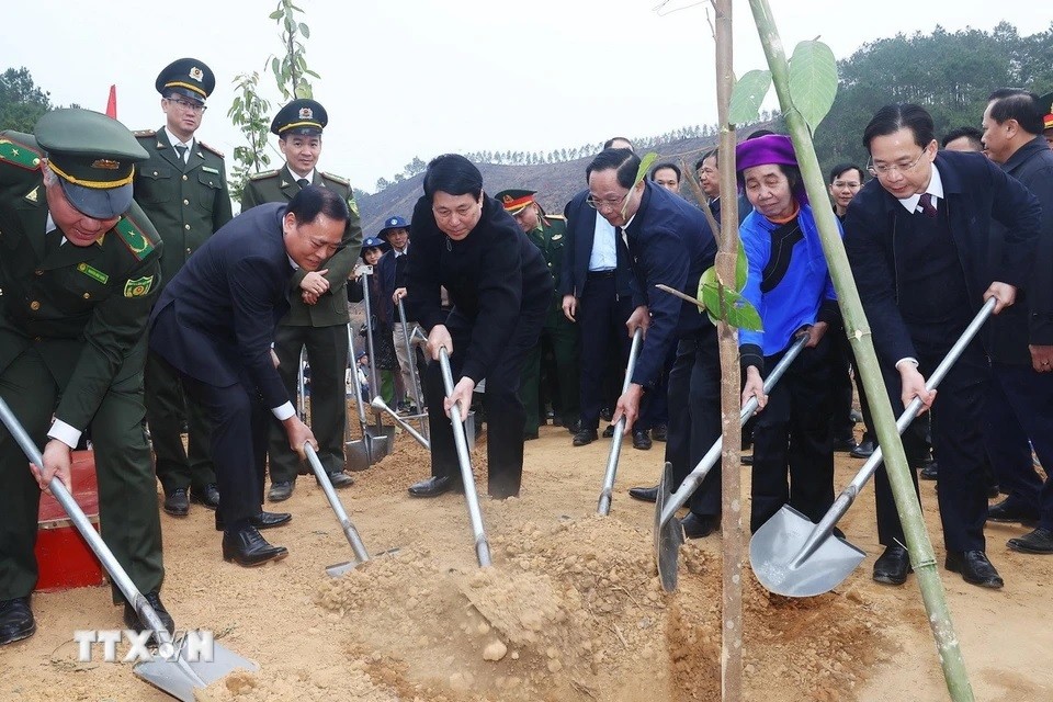 Chủ tịch nước dự “Tết trồng cây Đời đời nhớ ơn Bác Chủ tịch nước dự “Tết trồng cây Đời đời nhớ ơn Bác