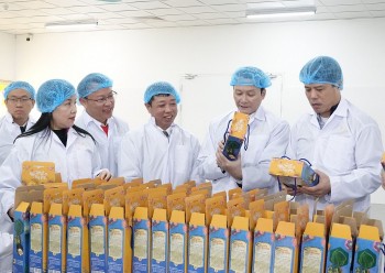 Thanh Hóa ra quân sản xuất đầu năm sôi nổi, khí thế