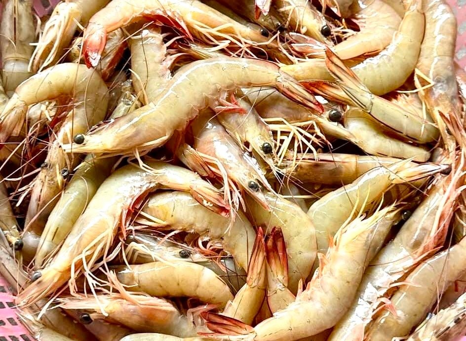 Trung Quốc và Hồng Kông (Trung Quốc) vượt qua Mỹ, trở thành thị trường nhập khẩu tôm lớn nhất của Việt Nam.