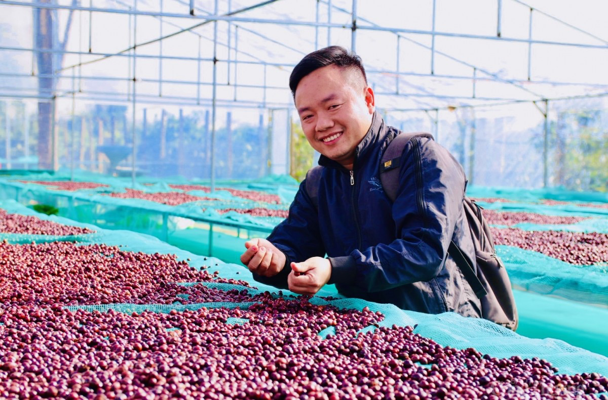 Giá cà phê hôm nay 6/2/2025: Giá cà phê hôm nay 6/2/2025: