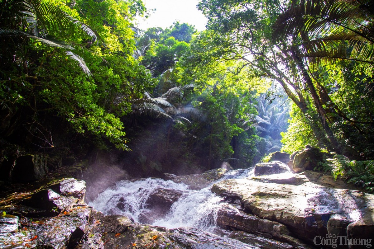 Động Châu- Khe Nước Trong được các tổ chức bảo tồn thiên nhiên thế giới đánh giá rất quan trọng đối với công tác bảo tồn đa dạng sinh học
