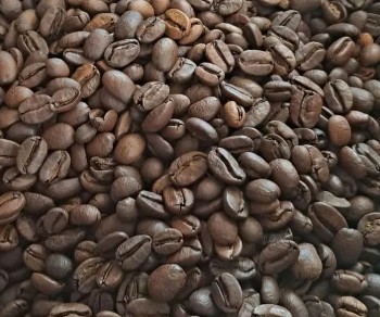 Xuất khẩu cà phê tháng đầu năm thu về 763 triệu USD