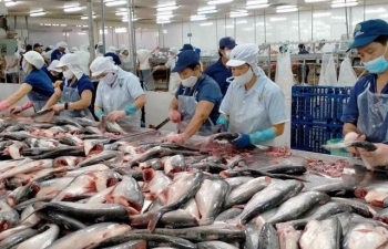 Thức ăn cá tra cần một chiến lược công thương trước sóng thuế quan