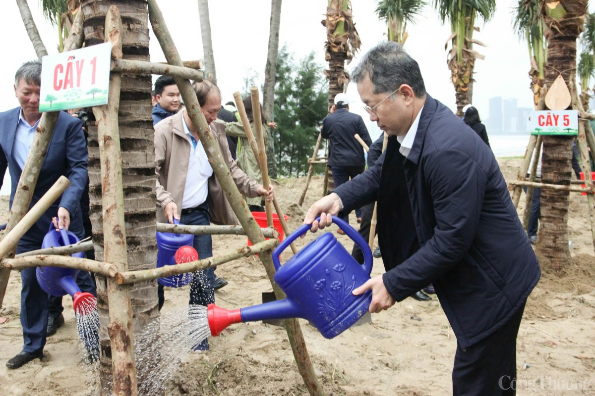 Bí thư Thành ủy Đà Nẵng Nguyễn Văn Quảng tham gia trồng cây tại Lễ ra quân và phát động Tết trồng cây Bí thư Thành ủy Đà Nẵng Nguyễn Văn Quảng tham gia trồng cây tại Lễ ra quân và phát động Tết trồng cây