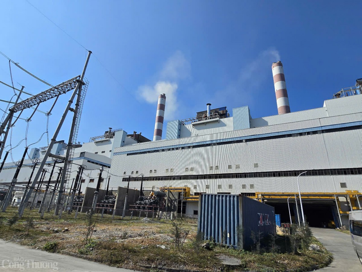 phủ xanh trên 90% khuôn viên phủ xanh trên 90% khuôn viên