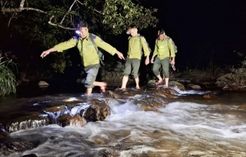 Trắng đêm canh giữ rừng giáng hương cổ thụ ở Gia Lai