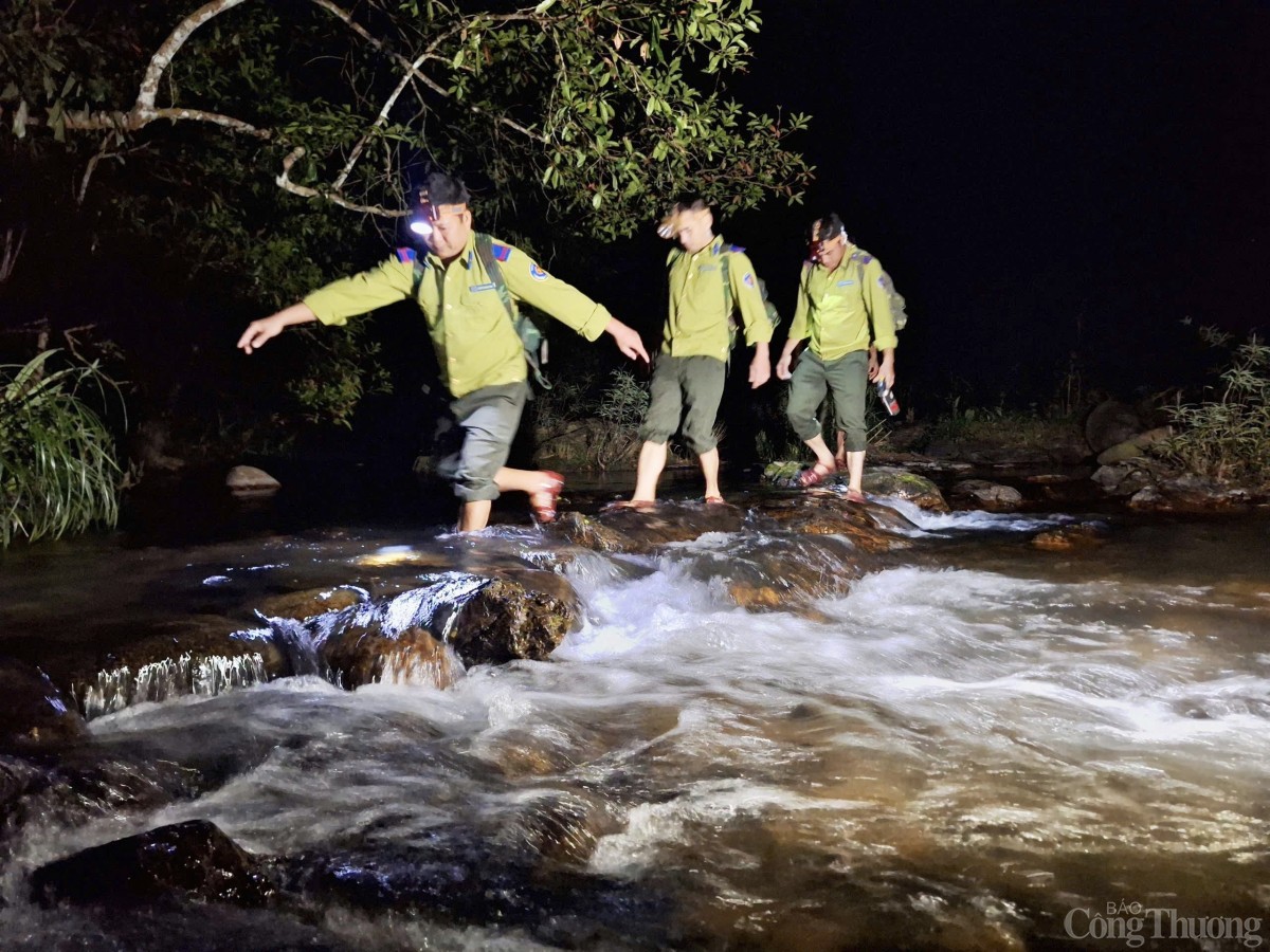 Trắng đêm canh giữ rừng giáng hương cổ thụ ở Gia Lai