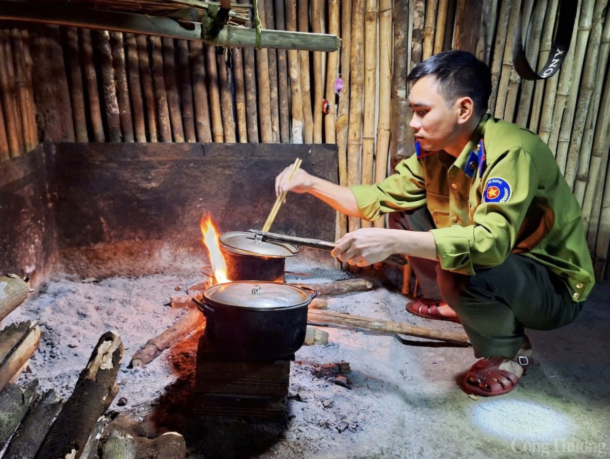 Trắng đêm canh giữ rừng giáng hương cổ thụ ở Gia Lai