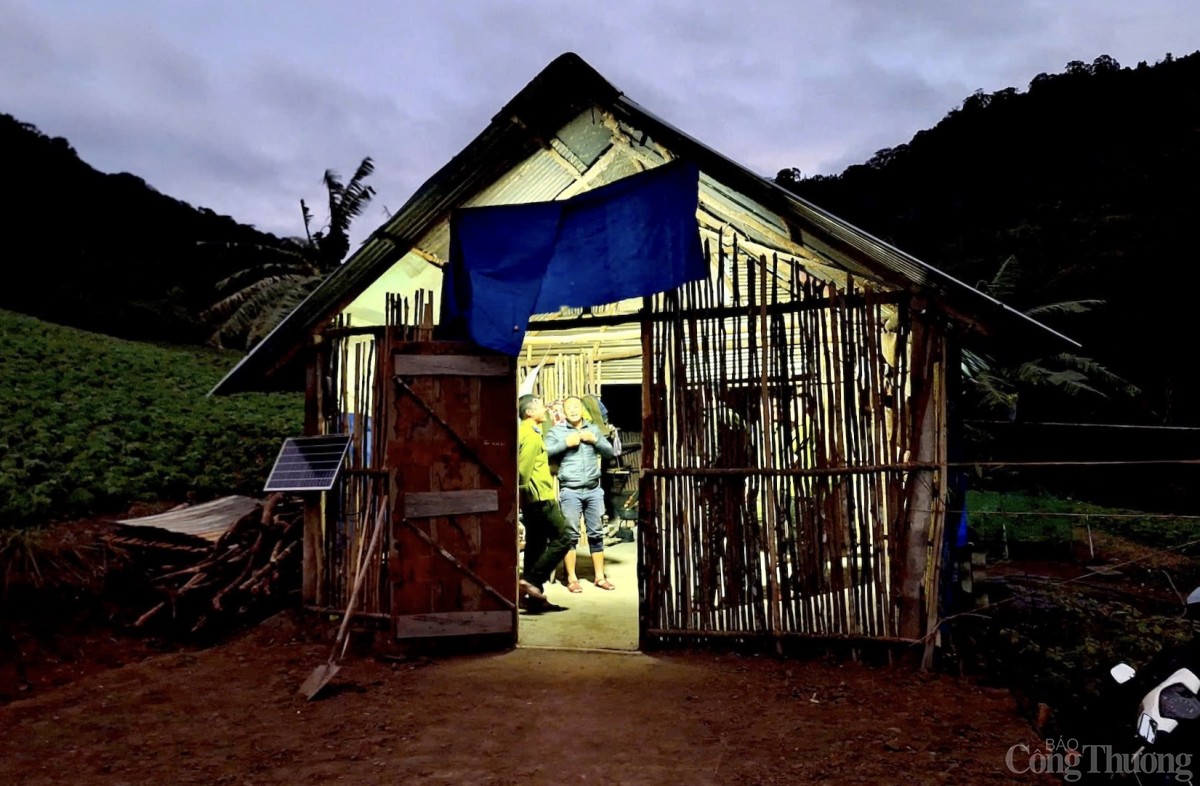 Trắng đêm canh giữ rừng giáng hương cổ thụ ở Gia Lai