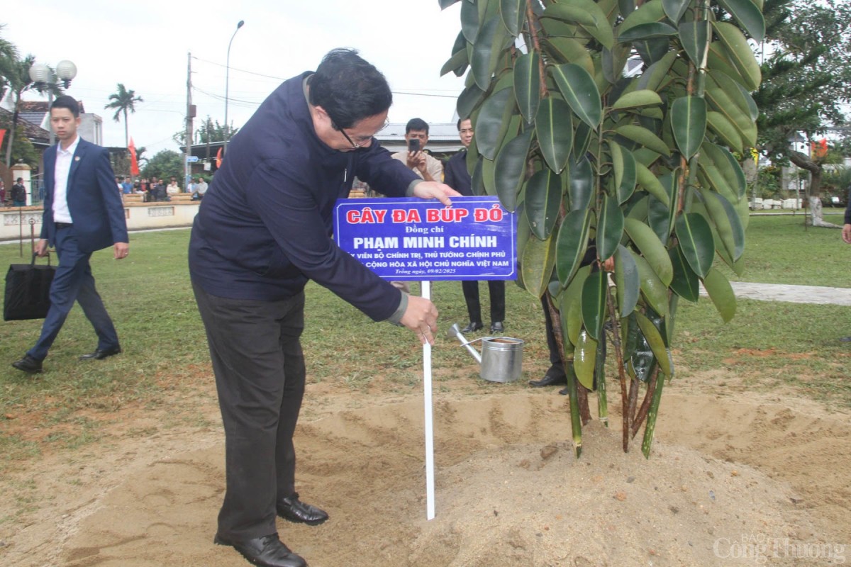 Thủ tướng Phạm Minh Chính cùng Đoàn công tác trồng cây lưu niệm tại Khu lưu niệm cố Thủ tướng Phạm Văn Đồng. Thủ tướng Phạm Minh Chính cùng Đoàn công tác trồng cây lưu niệm tại Khu lưu niệm cố Thủ tướng Phạm Văn Đồng.