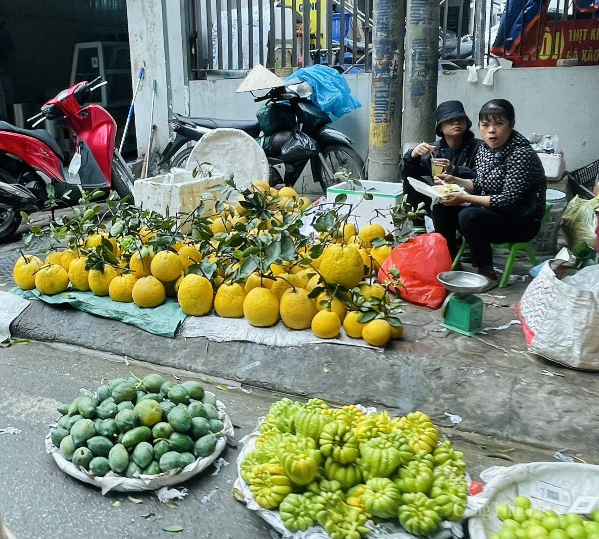 Giá các loại trái cây ổn định. Ảnh: Nguyễn Vân Giá các loại trái cây ổn định. Ảnh: Nguyễn Vân