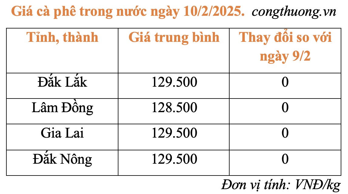 Giá cà phê trong nước hôm nay 10/2/2025 tiếp tục ổn định Giá cà phê trong nước hôm nay 10/2/2025 tiếp tục ổn định