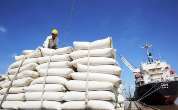 Kim ngạch xuất nhập khẩu Việt Nam-Philippines đạt 8,66 tỷ USD