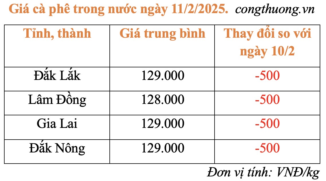 Giá cà phê hôm nay 11/2/2025: Giá cà phê hôm nay 11/2/2025: